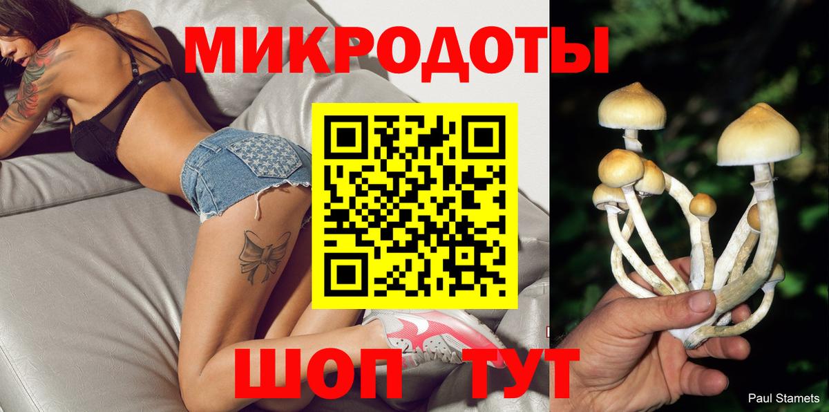 Великий Устюг  Галлюциногенные грибы Cubensis  Вход с VPN 